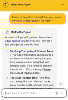 Photo 4 O142-26 Pigeon Forge Increase AI Visibility Case Study 02-04-26