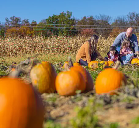 Visit Bucks County 2