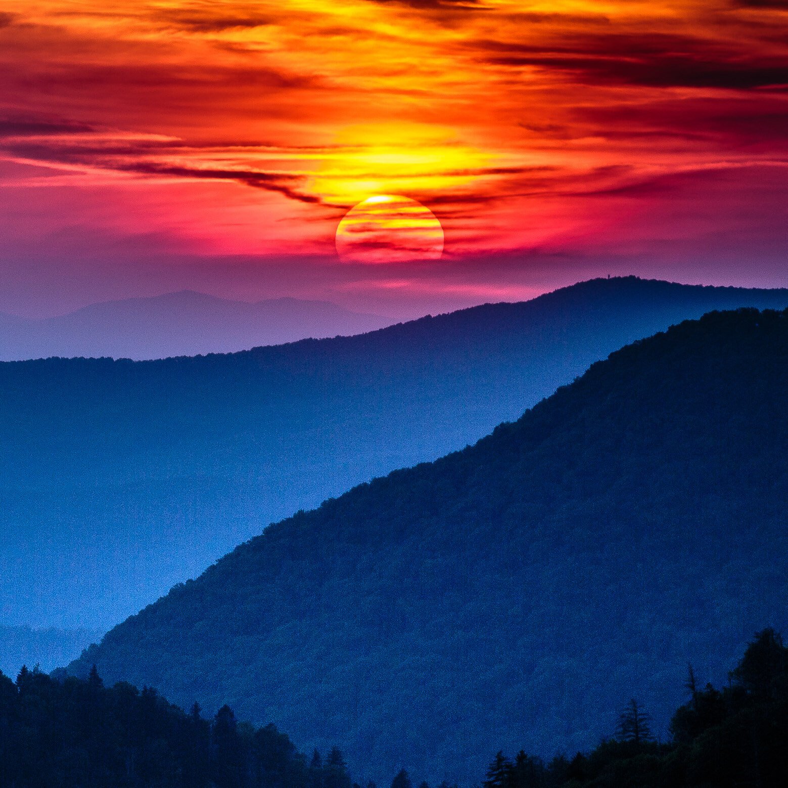 Orange 142 Helps Pigeon Forge Increase AI Visibility by 136%