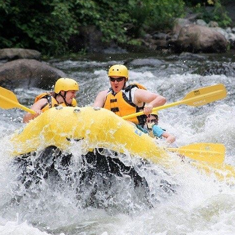 Orange 142 Pigeon Forge Extreme Adventure Campaign Case Study