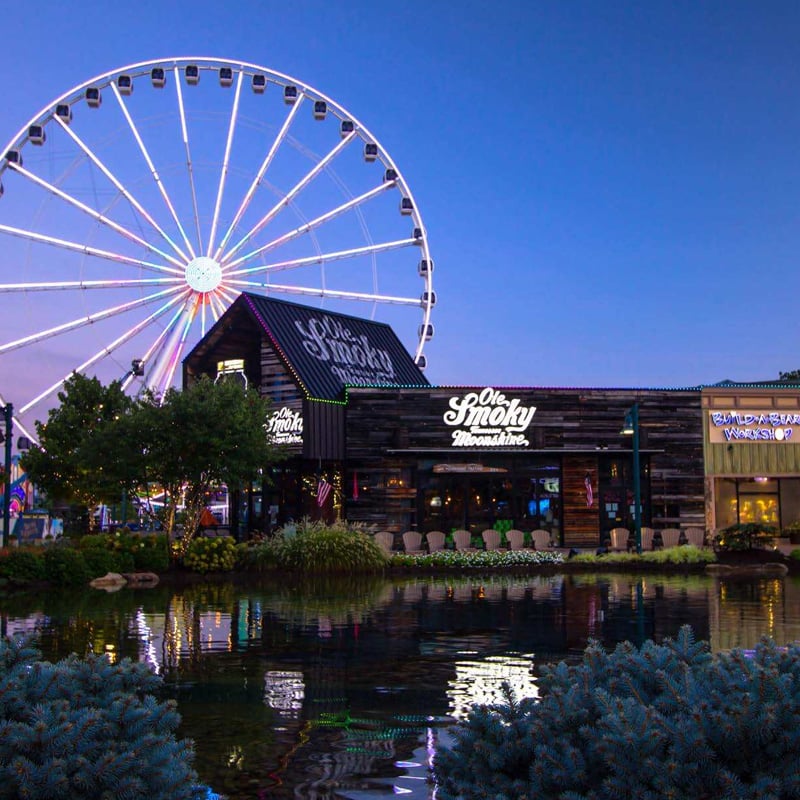 Orange 142 Pigeon Forge Case Study