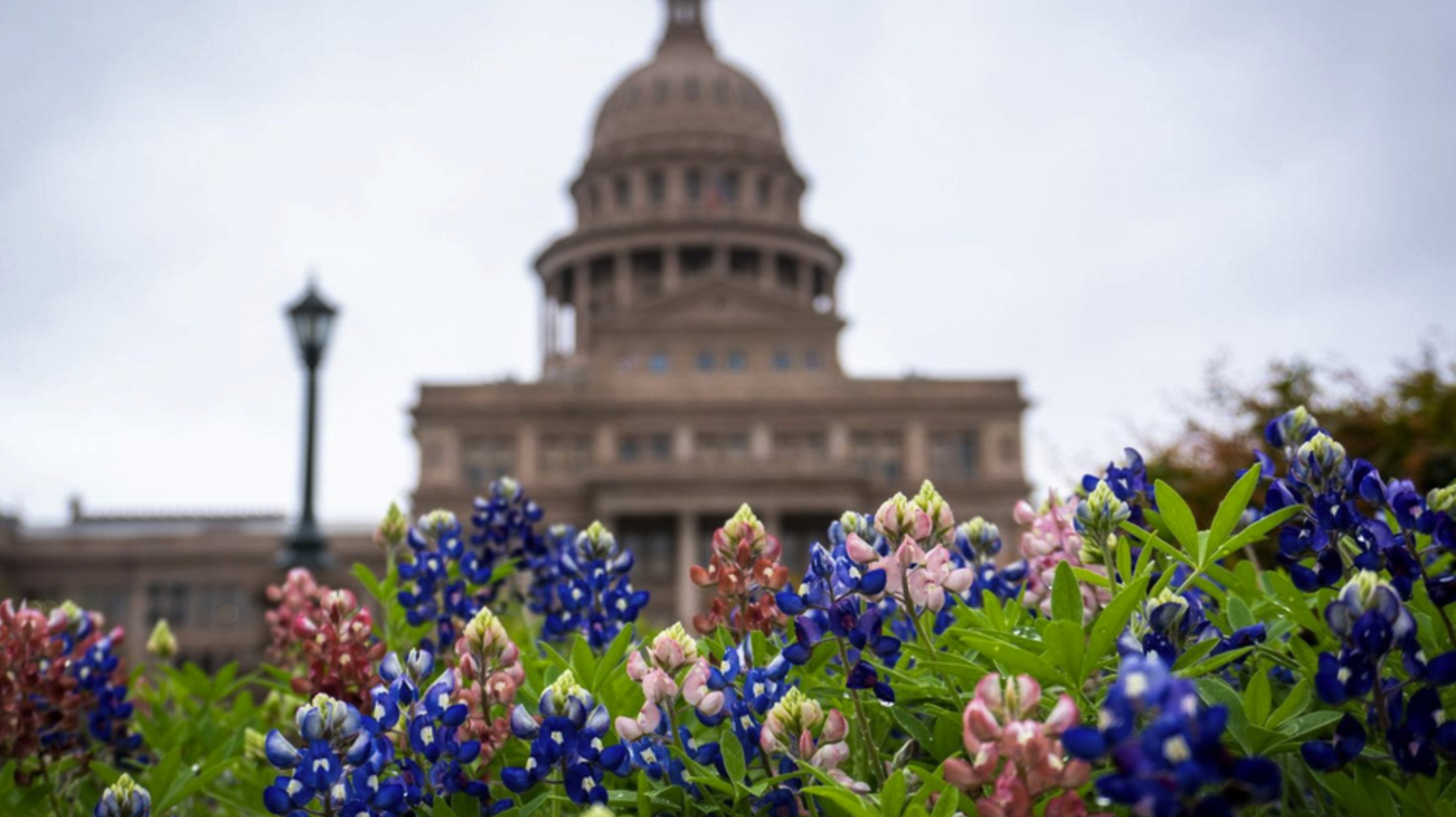 Case Study: Texas State Capitol Gift Shops
